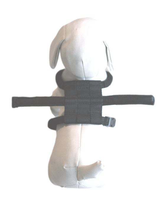 Safe Behind Fence Dog Harness