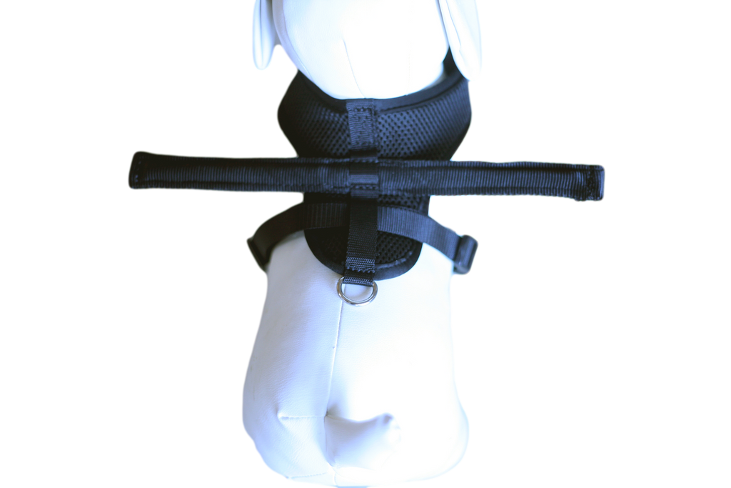 Dog gamutt top