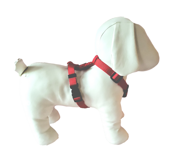 Dog Harness for stress free walking with NO rod